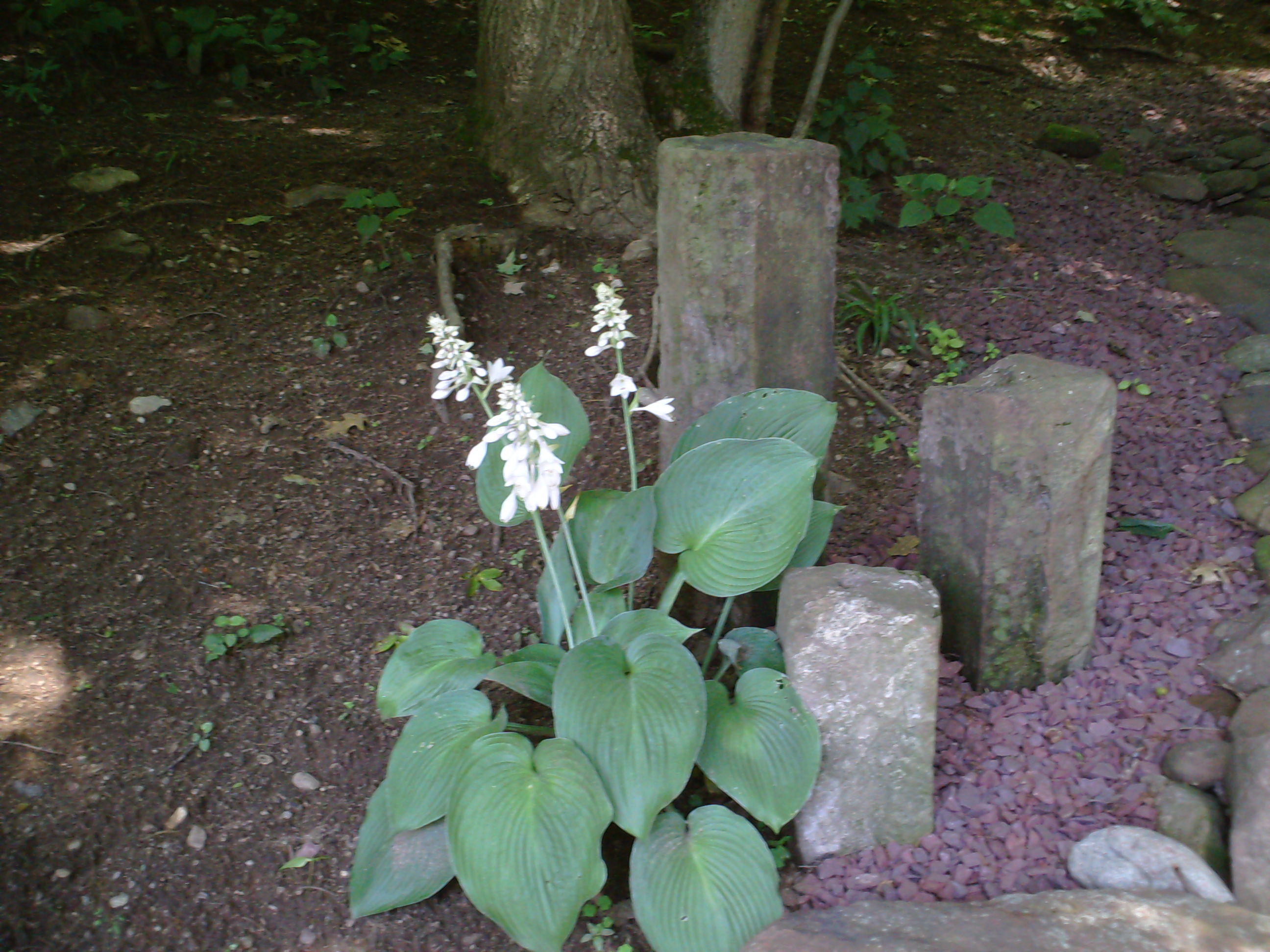 Three rectangular stone blocks in the summer