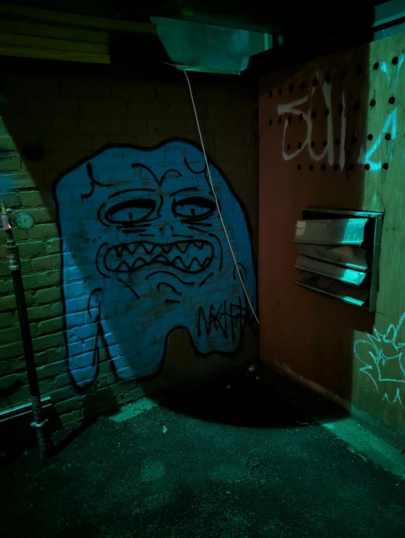 Graffiti in alleyway
